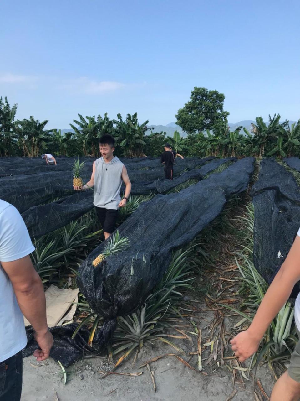 Yi-Xiang Yuan Guest House驛香緣民宿 Ruisui Bagian luar foto